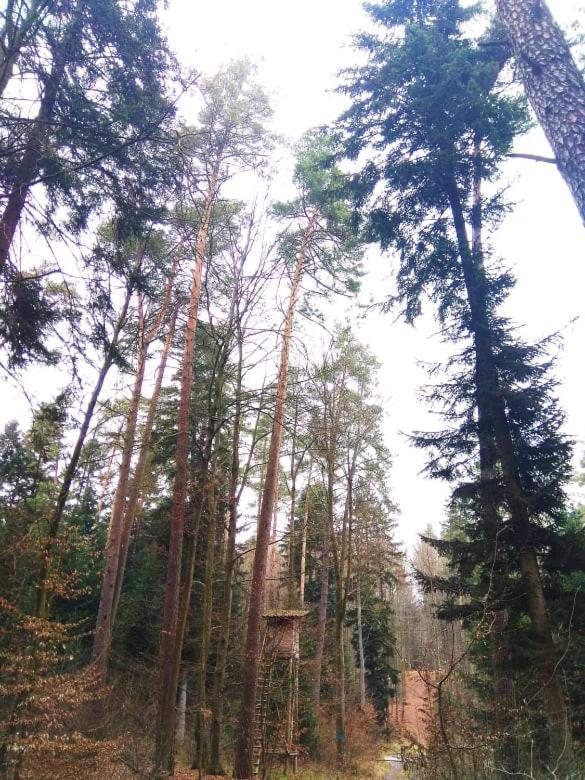 Ulegalki Roztocze Adamow  Dış mekan fotoğraf
